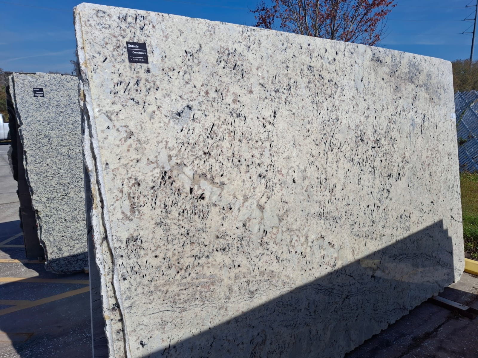 Galaxi White slab sample